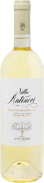 Antinori Villa Pinot Bianco Toscana IGT Jg. 2022 im Holzfass gereift 5100257131 Italien WeinUnion