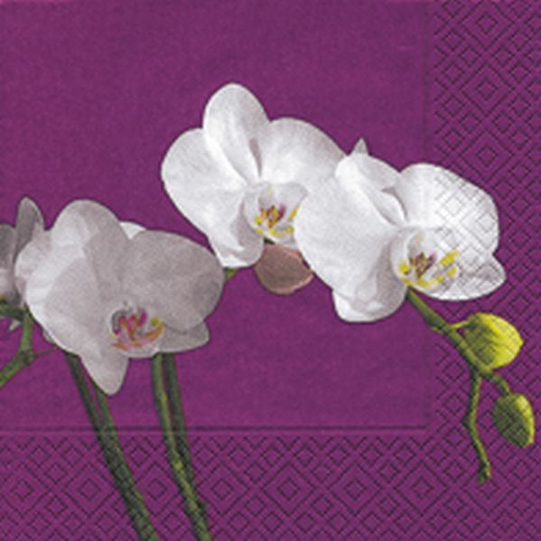 ServiettenButterfly orchid,Lunchservietten, 3-lagig,  20 Stück, 33 x 33 cmDelikatessen Accessoires Servietten